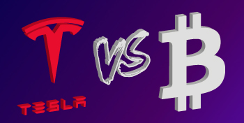 Tesla vs Bitcoin: у кого были большие доходы - image